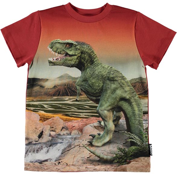 Molo T-Shirt 104-140 Road Dinosaurie